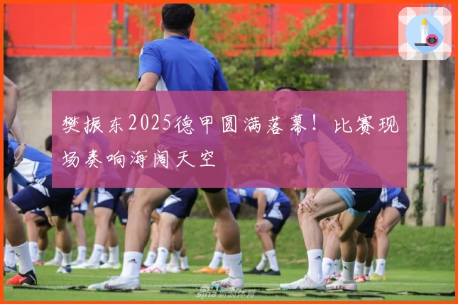 樊振东2025德甲圆满落幕！比赛现场奏响海阔天空